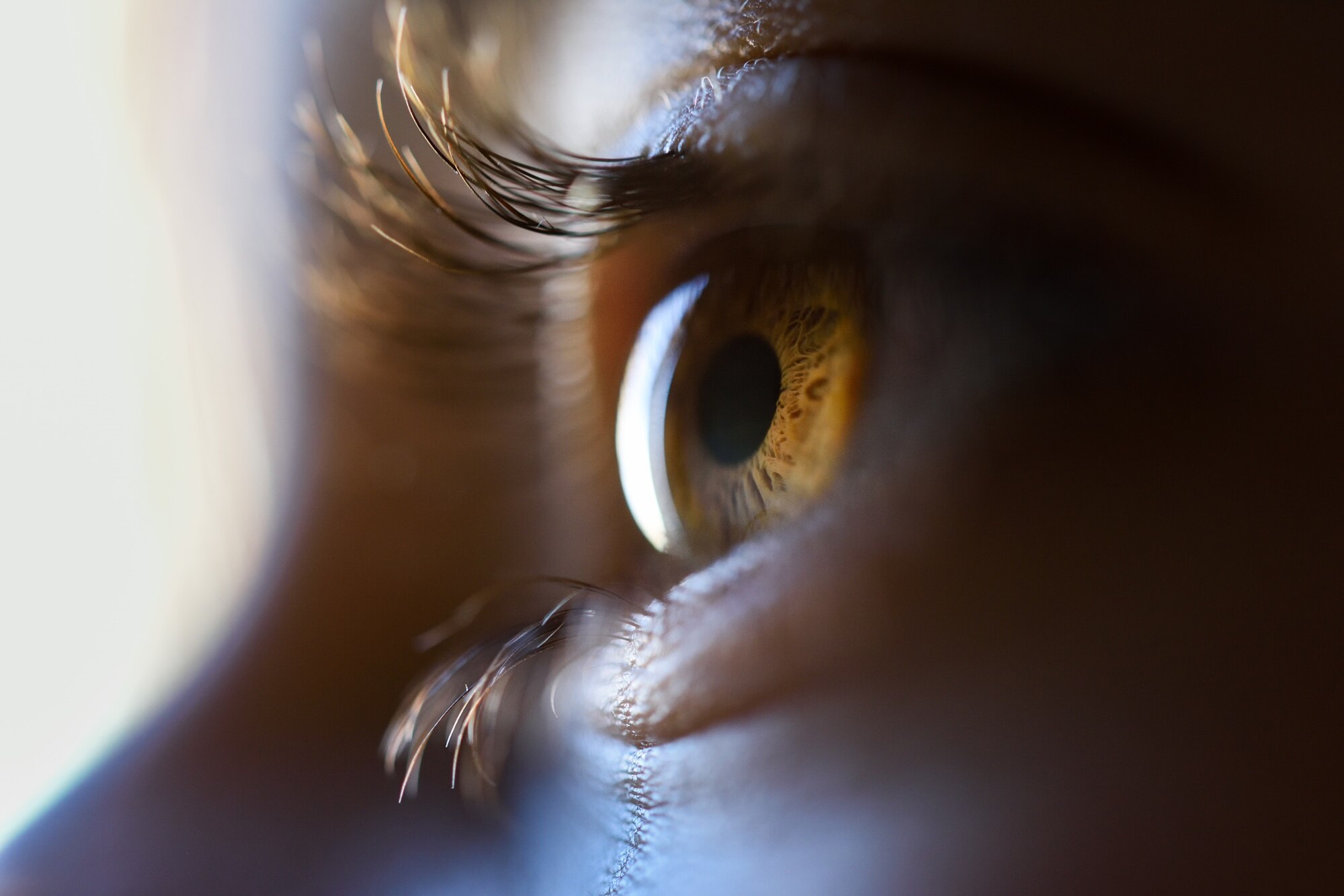 Primer plano del ojo humano, estructura del iris y reflejo de luz